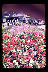 tanSF.C03-25_13()