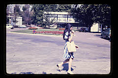 tanSF.C03-25_22()
