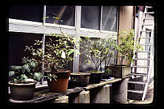 tanSF.C04-04_11()