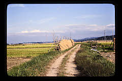 tanSF.C04-04_25()