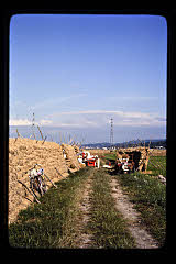 tanSF.C04-04_26()