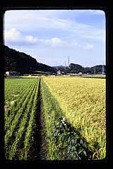 tanSF.C04-04_27()
