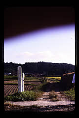 tanSF.C04-04_29()