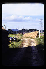 tanSF.C04-04_31()