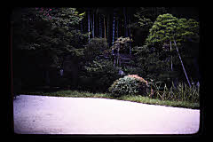 tanSF.C04-04_34()