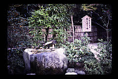 tanSF.C04-04_35()