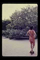 tanSF.C04-07_11()