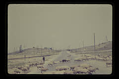 tanSF.C04-08_11()