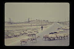 tanSF.C04-08_12()