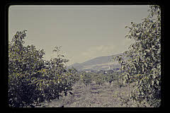 tanSF.C04-09_03()