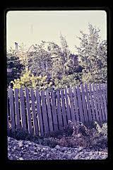 tanSF.C04-09_11()