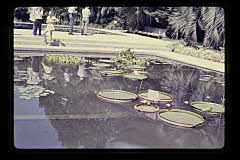 tanSF.C04-09_22()