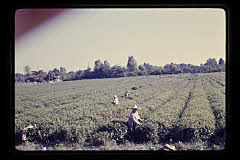 tanSF.C04-09_30()