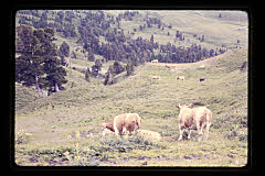 tanSF.C04-14_13()