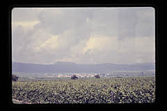 tanSF.C04-15_10()