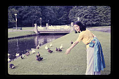 tanSF.C04-18_01()