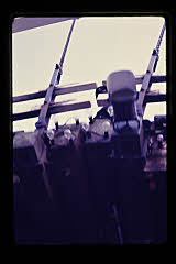 tanSF.C04-18_27()