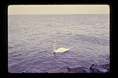 tanSF.C04-19_24()