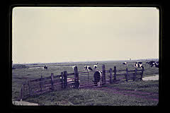 tanSF.C04-19_31()