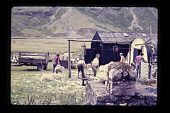 tanSF.C04-20_19()