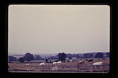 tanSF.C04-22_03()