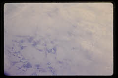 tanSF.C04-27_22()