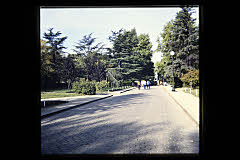 tanSF.C05-03_10()