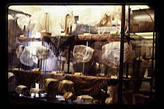tanSF.C05-14_20()