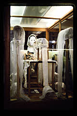 tanSF.C05-14_22()
