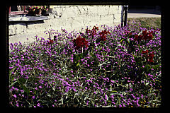 tanSF.C05-14_28()