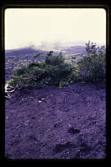 tanSF.C05-16_03()