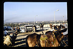 tanSF.C06-05_38()