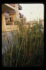 tanSF.C06-08_02()