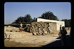 tanSF.C06-09_09()