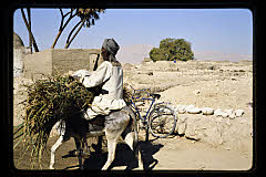 tanSF.C06-09_10()