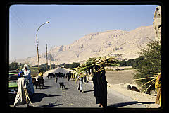 tanSF.C06-09_33()