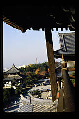 tanSF.C06-10_08()