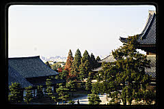 tanSF.C06-10_09()