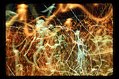 tanSF.C06-10_26()