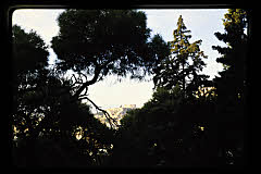tanSF.C06-12_33()