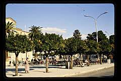 tanSF.C06-14_10()