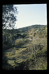 tanSF.C06-14_26()