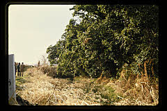 tanSF.C06-16_29()