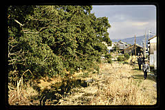 tanSF.C06-16_30()