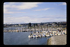 tanSF.C07-01_21()