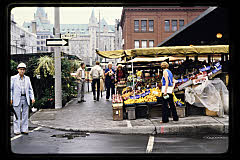 tanSF.C07-03_37()