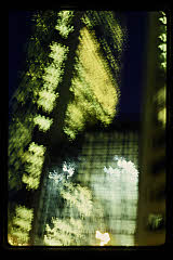tanSF.C07-05_23()