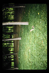 tanSF.C07-07_27()