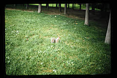 tanSF.C07-07_28()