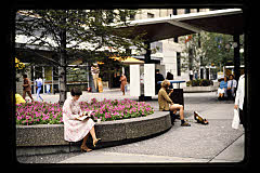tanSF.C07-16_14()